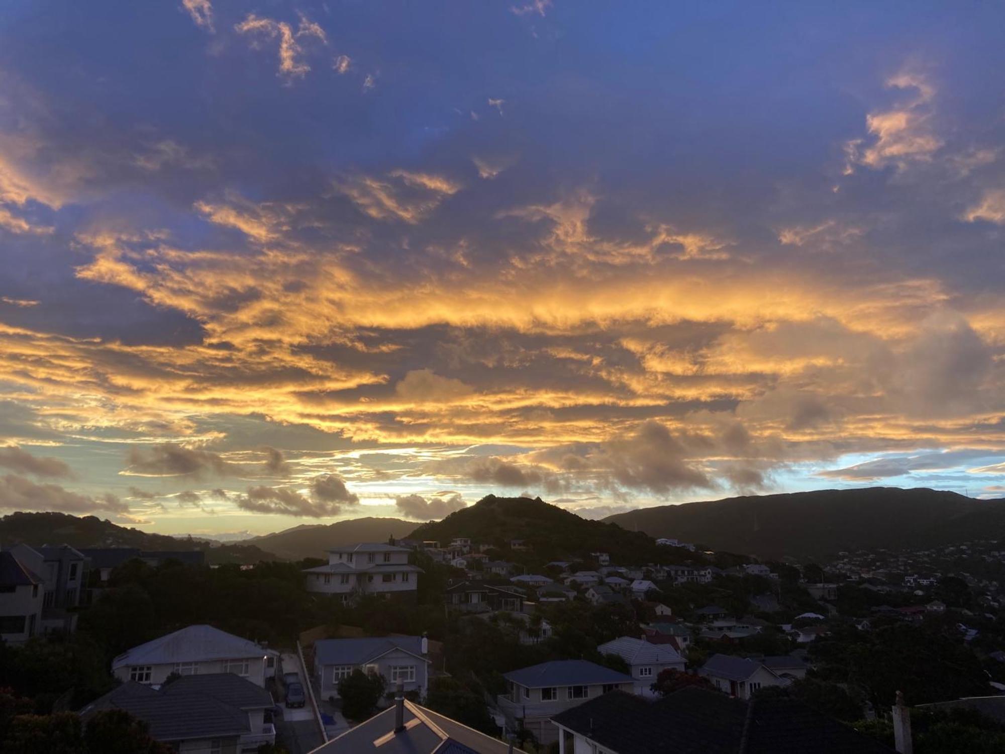 Khandallah Harbour View Bnb Wellington Extérieur photo